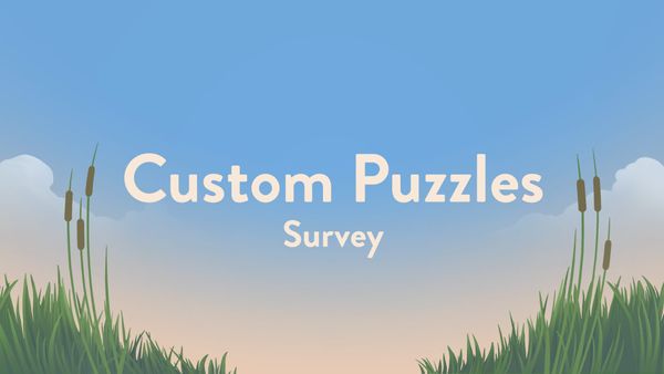 🌟 Custom Puzzles (Survey)